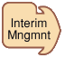 Interim management