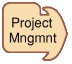 Project management